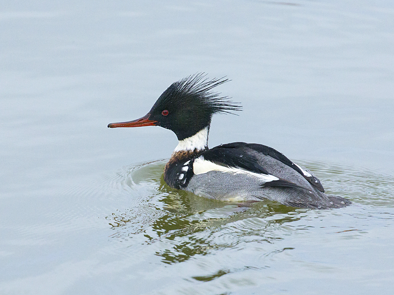 022 m. zaagbek L.jpg